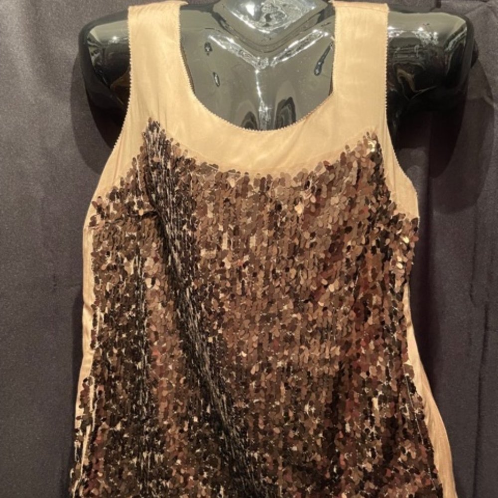 Ann Taylor Sequined Top